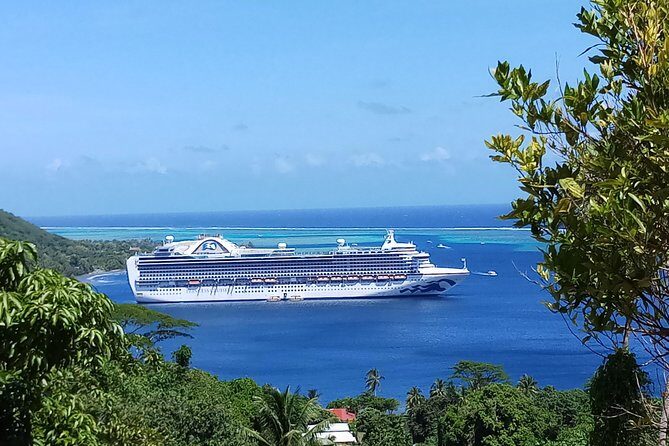 Blue Pearl Private Tour - Who Should Consider This Tour?