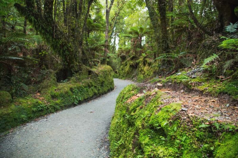 Blue Pools & Makarora Day Walk - Authentic Experiences You’ll Love