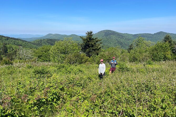 blue-ridge-mtns-hiking-tour-with-the-areas-top-rated-trail-expert-2
