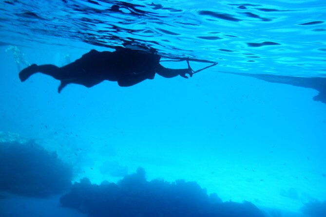 blue-room-and-beach-tour-curacao-by-speedboat