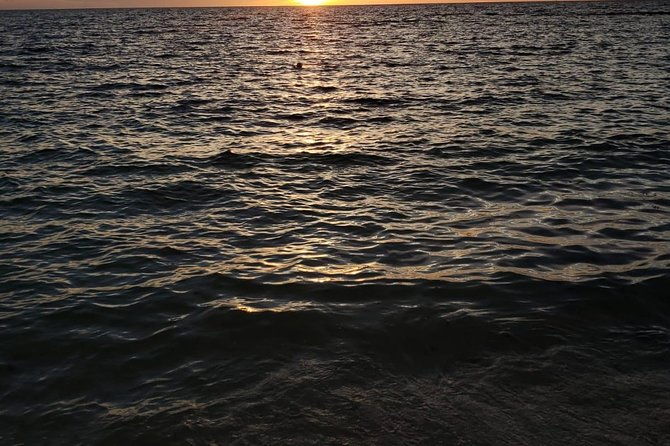 bluefinn242-swim-with-the-turtles-in-nassau-bahamas