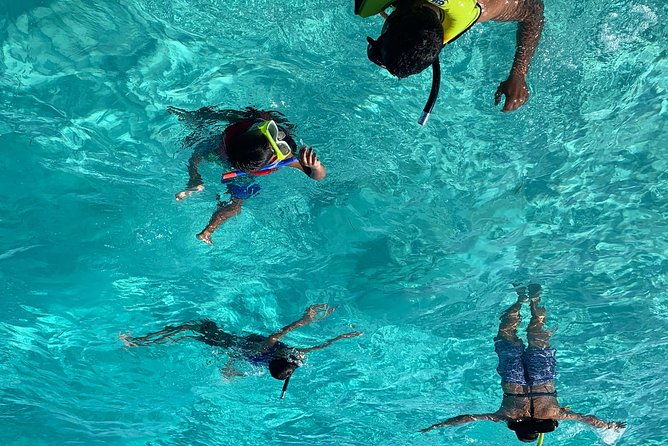 bluefinn242-swim-with-the-turtles-in-nassau-bahamas