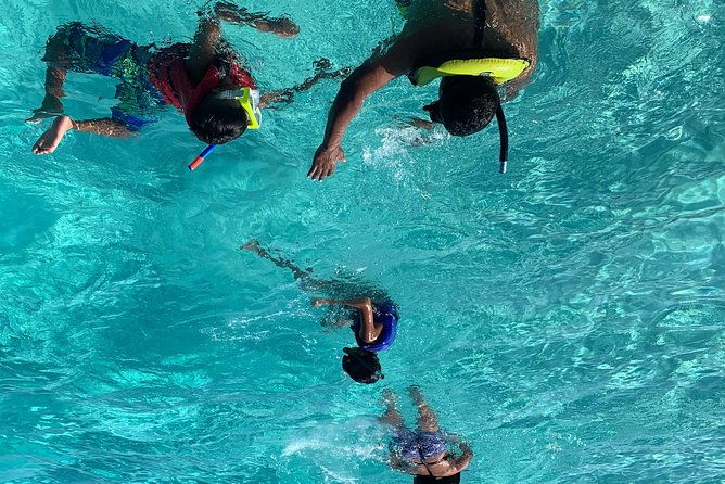 bluefinn242-swim-with-the-turtles-in-nassau-bahamas