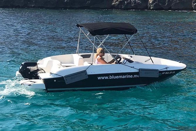 bluemarine-me-license-free-bayliner-element-e5-rental-2