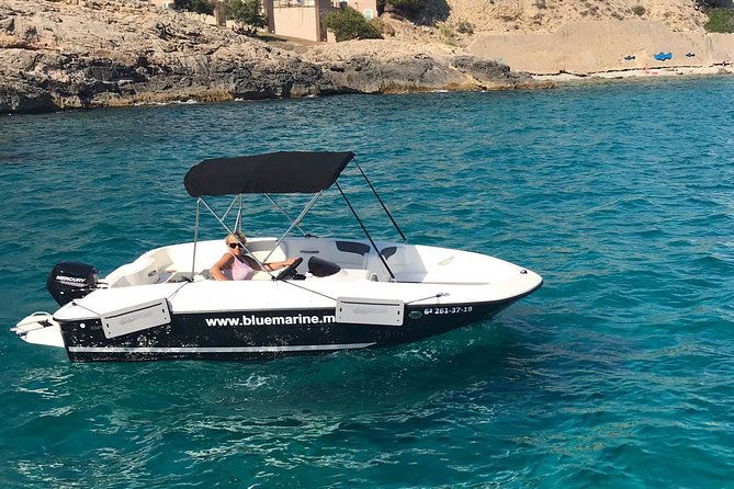 bluemarine-me-license-free-bayliner-element-e5-rental