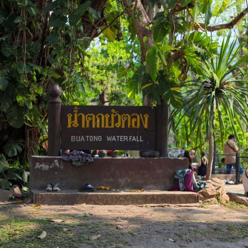 Bo Sang Umbrella Making Experience + Sticky Waterfall Tour - The Scenic Journey to Bua Tong Sticky Waterfall