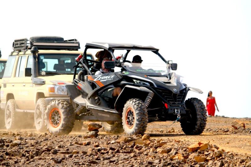 Boa Vista: 2-Hour Buggy 1000cc North Island Adventure - Who Will Love This Tour?