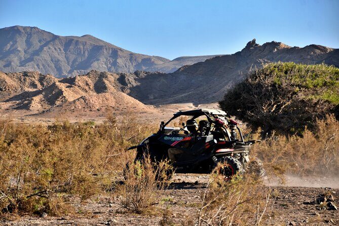 Boa Vista 2h Buggy Death Valley Adventure 1000cc - Key Points