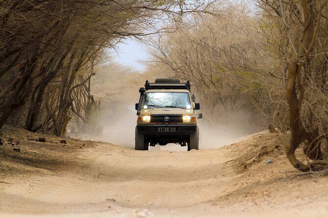 Boa Vista: 4h North Jeep Expedition Off-Road - A Detailed Look at the North Jeep Expedition