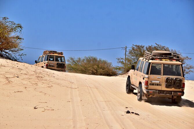 Boa Vista: 4h North Jeep Expedition Off-Road - Final Thoughts