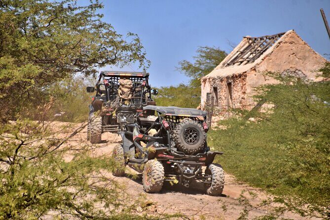 Boa Vista 4h South Buggy Adventure 1000cc - What’s Included and How It Adds Value