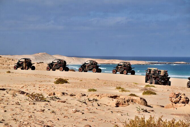 Boa Vista 4h South Buggy Adventure 1000cc - Weather and Cancellation Notes