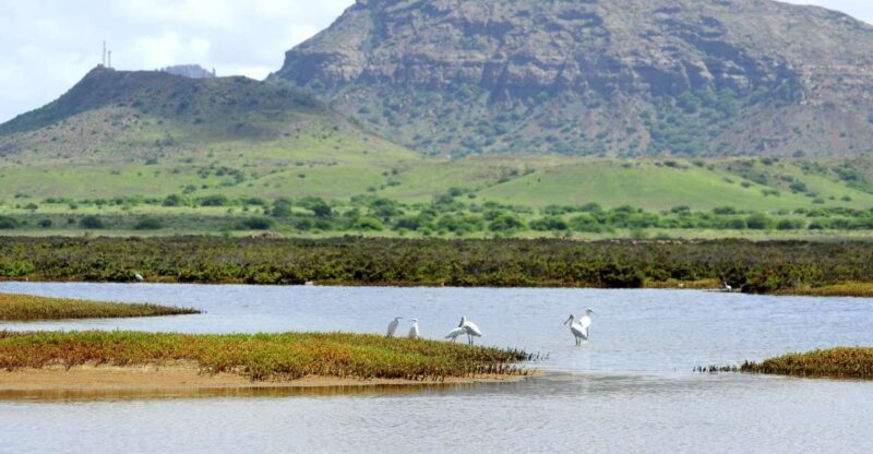 Boa Vista: Bird Watch Expedition in natural environment - Who Should Take This Tour?
