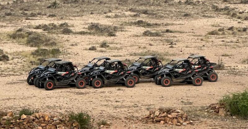 Boa Vista: Buggy Death Valley Adventure 2h - Authentic Experiences and Useful Tips