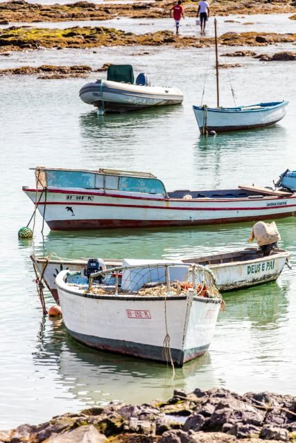 Boa Vista Full Day 4x4 Island Tour with Beachfront Lunch - Who Would Love This Tour?