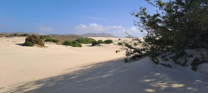 Boa Vista: Full-Day Combi Tour with Lunch - Key Points