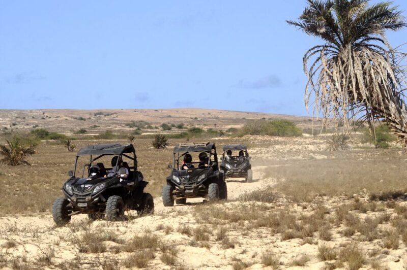 Boa Vista Island: Dunes, Desert &Sal Rei 4WD Buggy Adventure - Key Points
