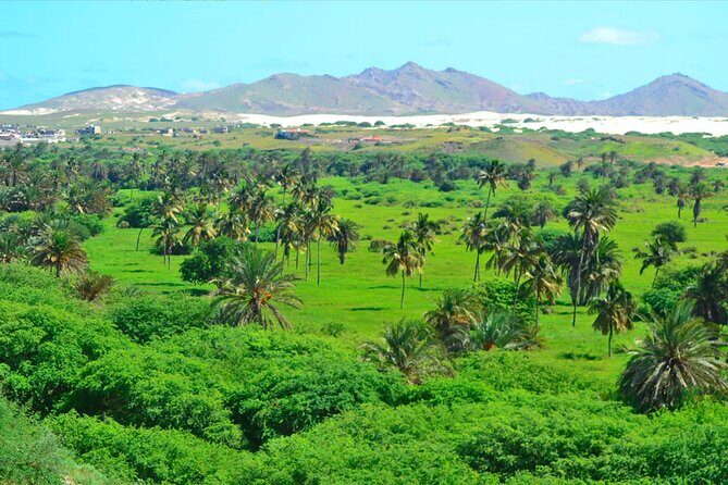 Boa Vista Island: Full-Day Wild Beaches & Viana Desert Experience - Lunch at Fundo das Figueiras: A Taste of Local Life