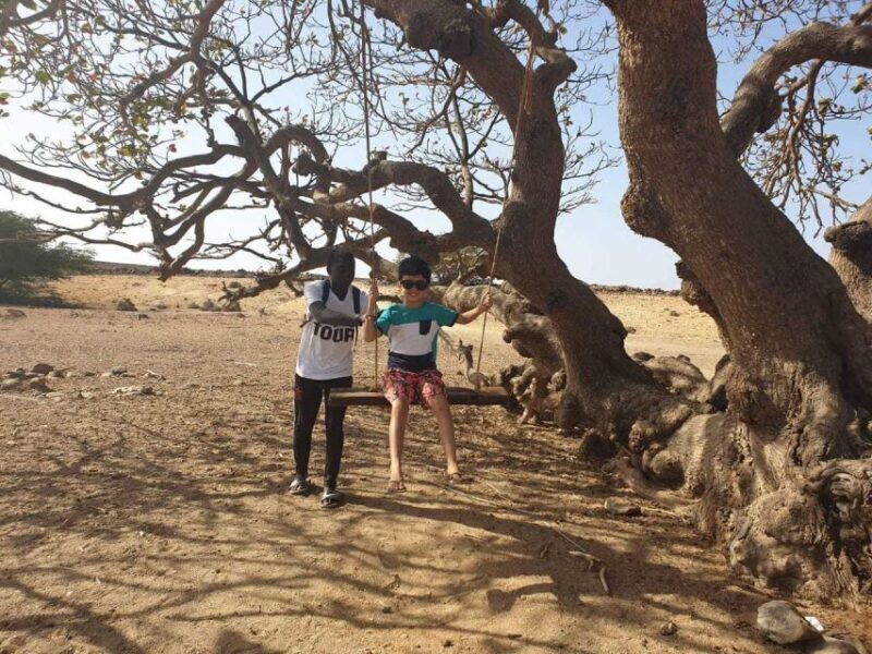 Boa Vista Island: Full-Day Wild Beaches & Viana Desert Tour - Discovering Boa Vista: A Full-Day Adventure Through Beaches and Desert