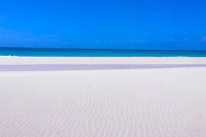 Boa Vista Island: Half-day Tour + Santa Monica Beach by 4x4 - Who Should Consider This Tour?