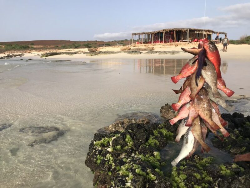 Boa Vista: Lobster Lunch at Santa Monica Beach - Who Is This Tour Best For?