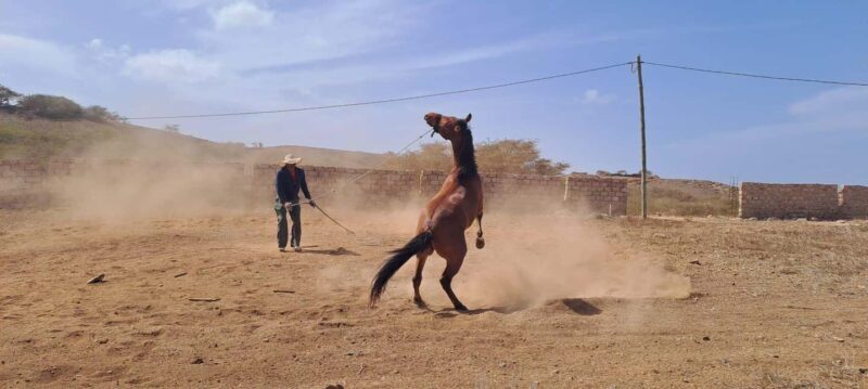 Boa Vista: Local Villages Guided Tour with Typical Lunch - The Sum Up
