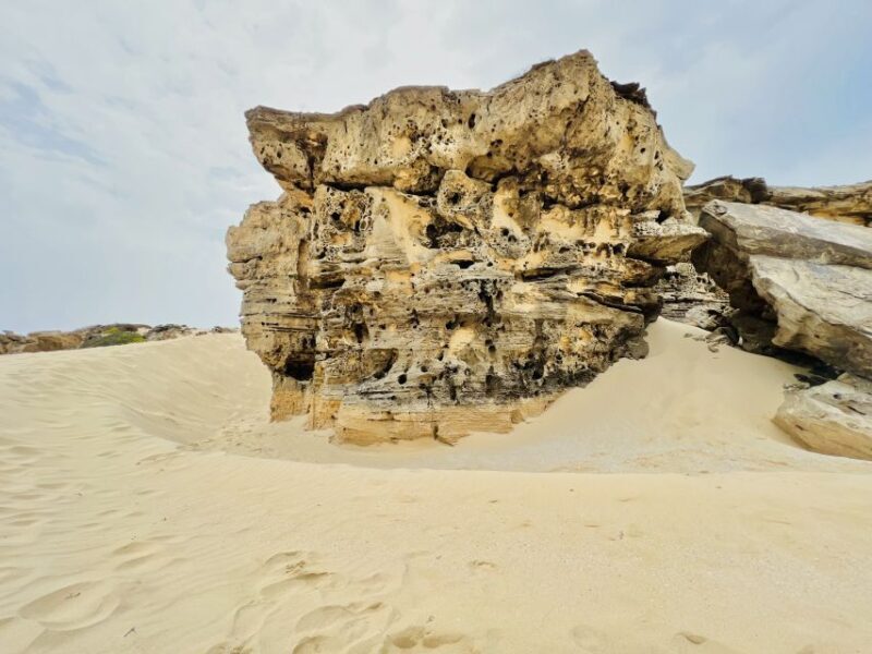 Boa Vista Mystical Wonders: Santa Monica Beach and Caves - Practical Details and Considerations