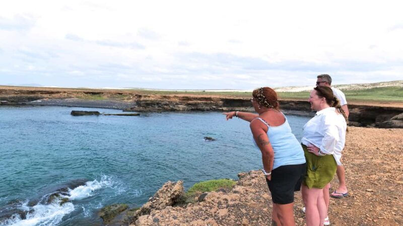 Boa Vista: Shark, Turtles, Cave, Sandboarding & Tasting Tour - Who Is This Tour Best For?