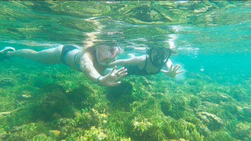 Boa Vista: Snorkeling at Gatas Bay & North East Tour - Transportation & Practicalities