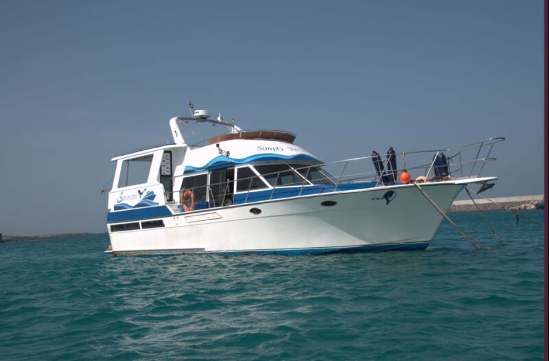 Boa Vista: Whale Watching Trip with Motoryacht - FAQ