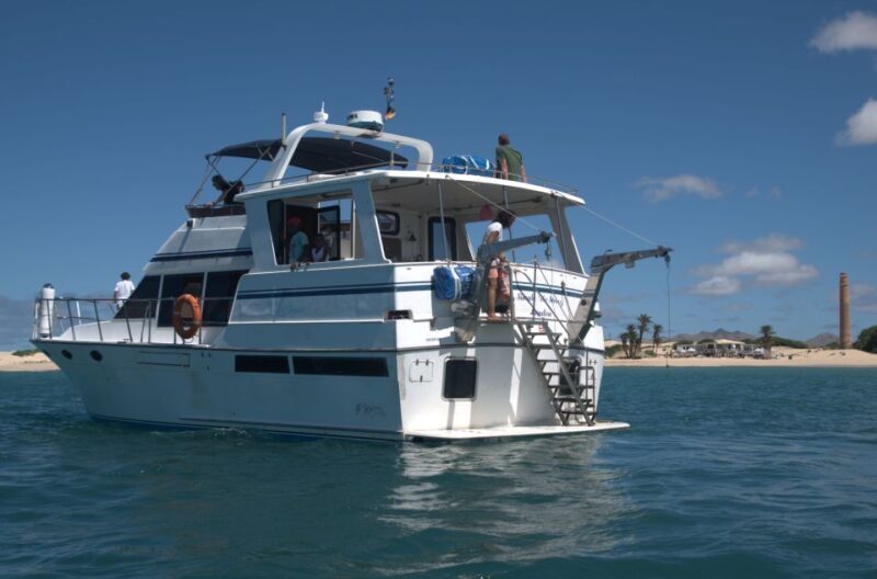Boa Vista: Whale Watching Trip with Motoryacht - Final Thoughts