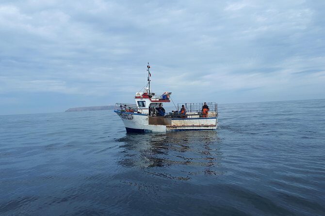 Boat and Kayak at Berlenga Natural Reserve - Reaching Berlenga: First Impressions