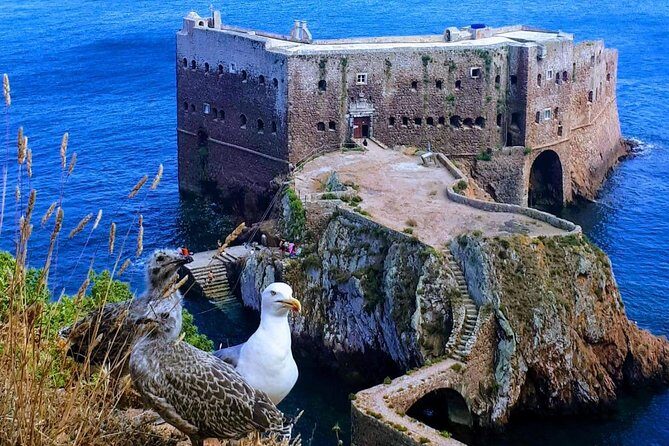 Boat and Kayak at Berlenga Natural Reserve - Who Will Get the Most Out of This Tour?