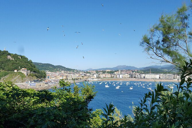Boat by the Bay and Santa Clara Island in Donostia San Sebastian - Final Thoughts: Who Will Love This Tour?