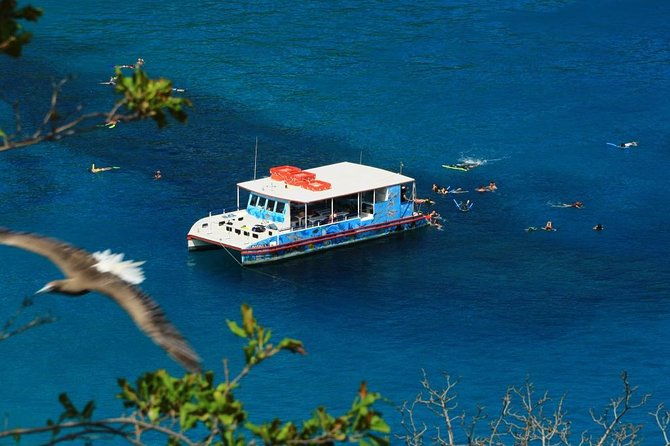 boat-cruise-and-sancho-bay-swim-from-fernando-de-noronha