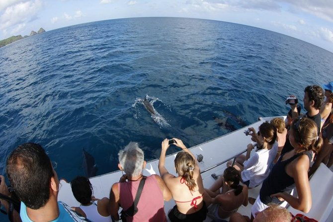 boat-cruise-and-sancho-bay-swim-from-fernando-de-noronha