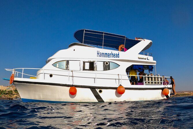 Boat Dive 2 Guided Dives with Lunch Included wreck dive&reef dive - Why This Tour Stands Out