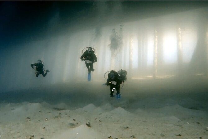 Boat Dive 2 Guided Dives with Lunch Included wreck dive&reef dive - Itinerary Breakdown
