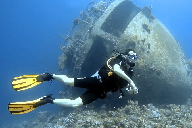 Boat Dive 2 Guided Dives with Lunch Included wreck dive&reef dive - Final Thoughts: Is This Tour for You?