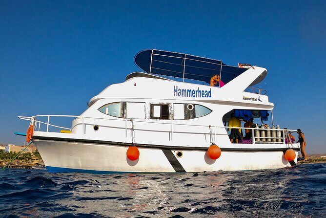 Boat Dive and Snorkeling Experience in Aqaba - Exploring Aqaba’s Marine Wonders
