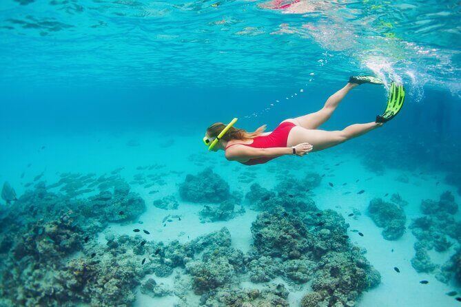 Boat Dive and Snorkeling Experience in Aqaba - Final Thoughts