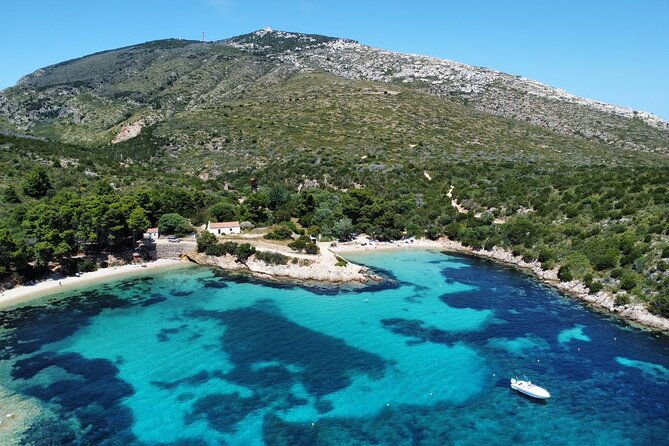 boat-dolphins-safari-and-snorkeling