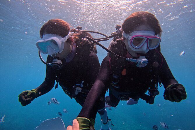 Boat entry diving at the Blue Cave in Onna Village, Okinawa! - Key Points