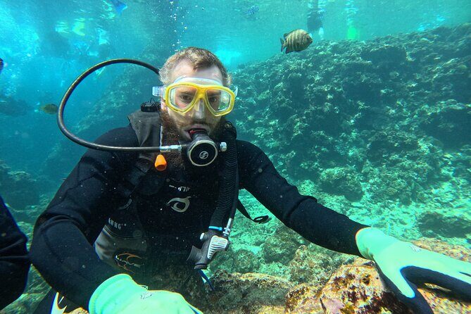 Boat entry diving at the Blue Cave in Onna Village, Okinawa! - What’s Included and What You’ll Need to Budget For