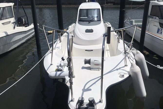 boat-fishing-activity-in-central-tokyo