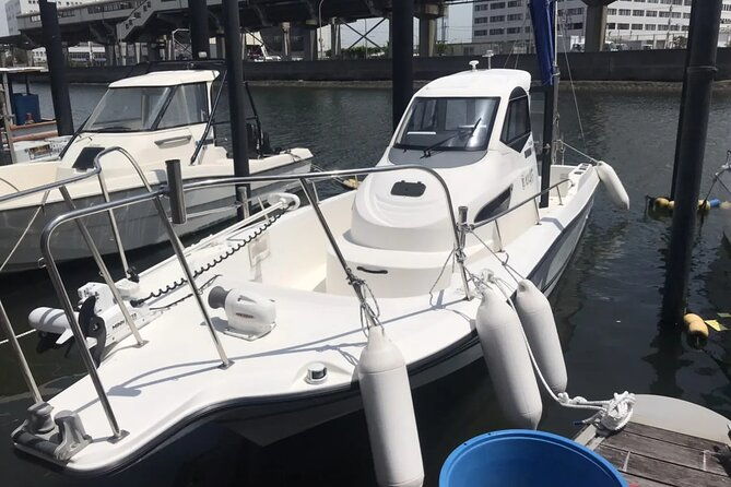 boat-fishing-activity-in-central-tokyo