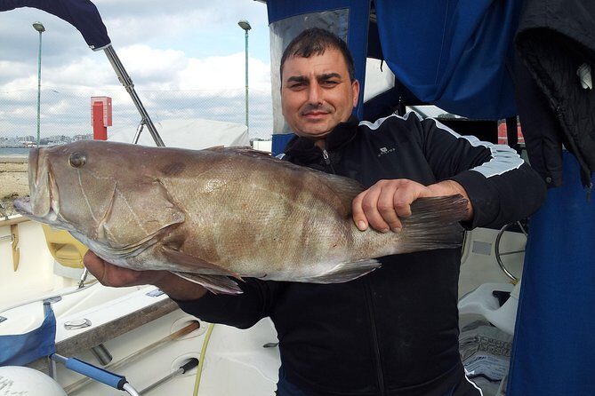 Boat fishing, boat tours, boat party - The Experience: What to Expect on This Day Out