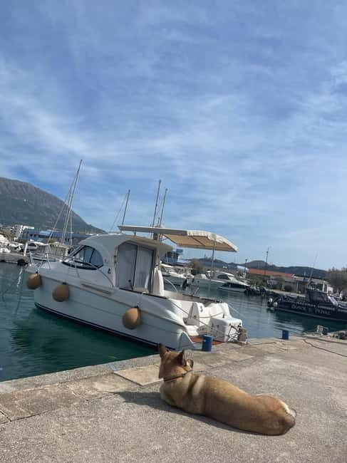 Boat Rental in Marina Bar Montenegro - A Closer Look at the Boat Rental Experience in Marina Bar