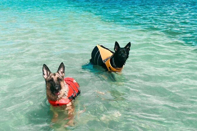 boat-rentals-to-shell-key-treasure-island-and-st-pete-beach