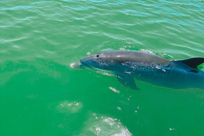 boat-rentals-to-shell-key-treasure-island-and-st-pete-beach